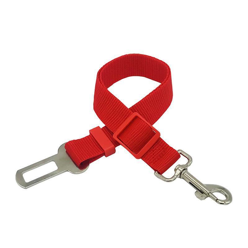 Car Clip