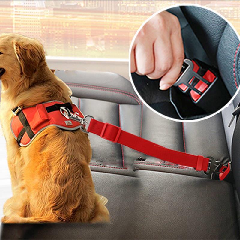 Car Clip