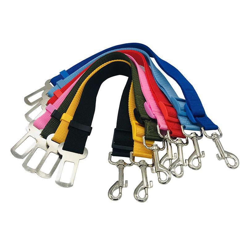 Car Clip