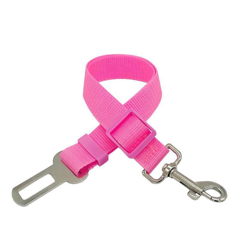 Car Clip