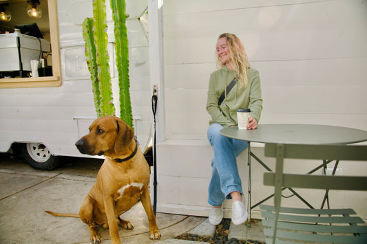 Doghook Featured in the San Diego Business Journal!