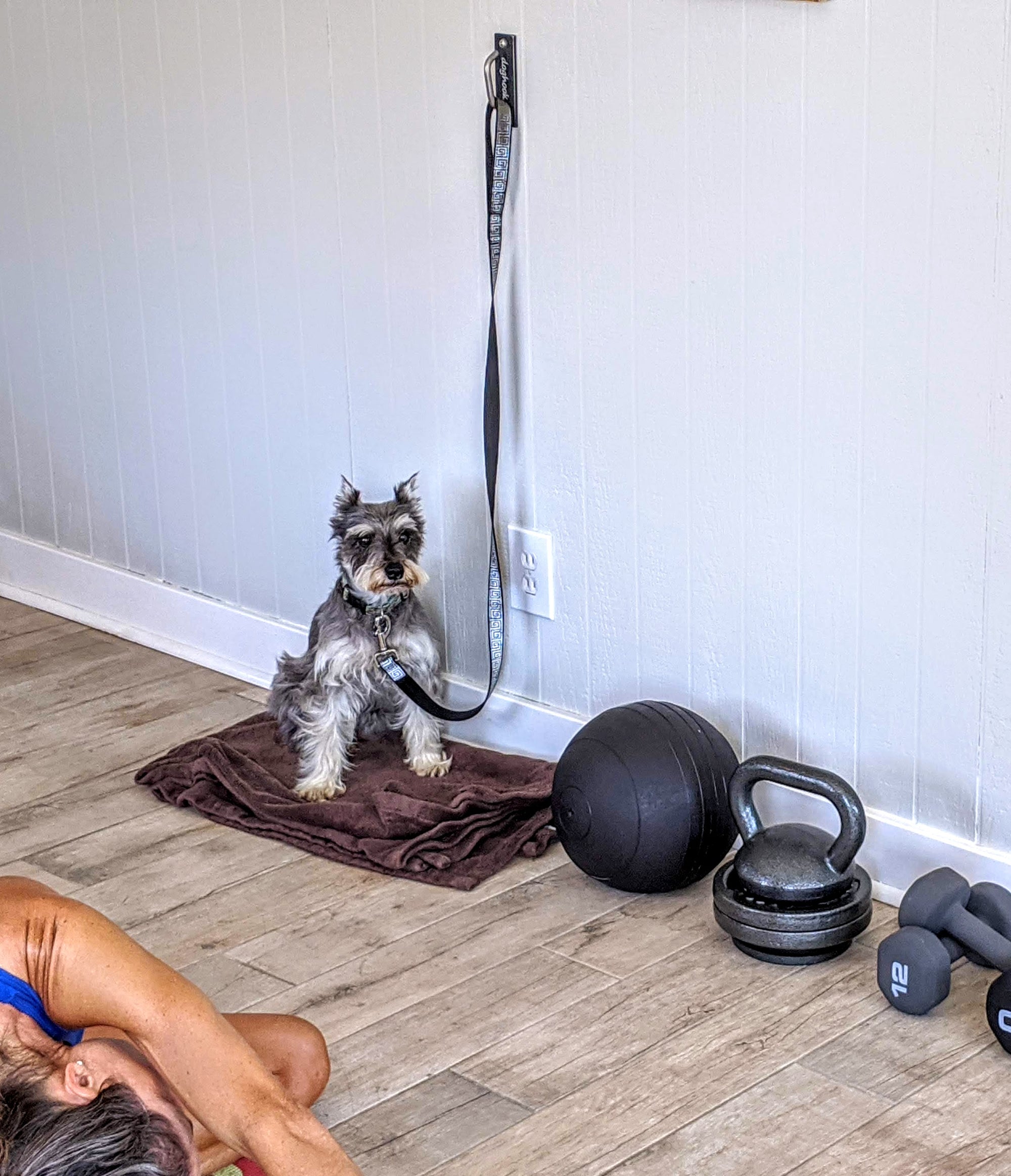 Doghook installation