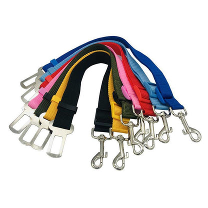 Car Clip