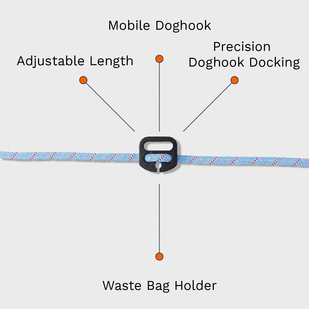 Blue Belay Leash