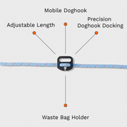 Blue Belay Leash