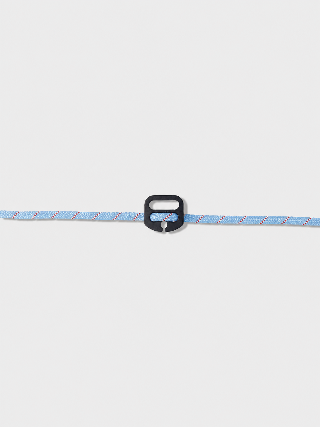 Blue Belay Leash