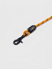 Desert Sunset Belay Leash