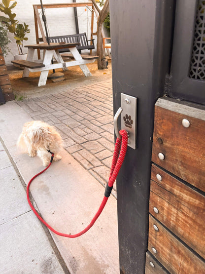 Doghook Standard 4 Pack