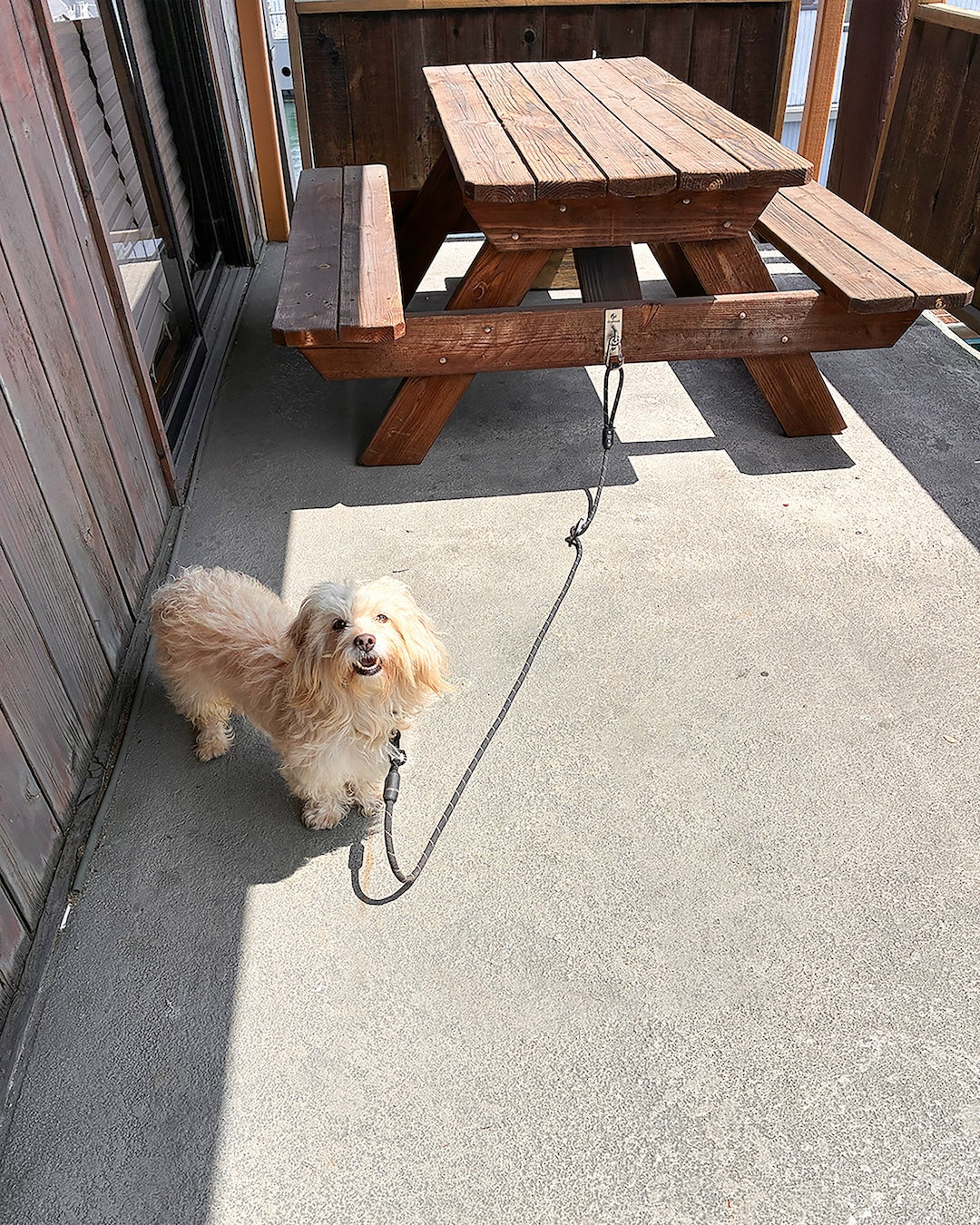 Belay Leash and Easy Clip Bundle Pack