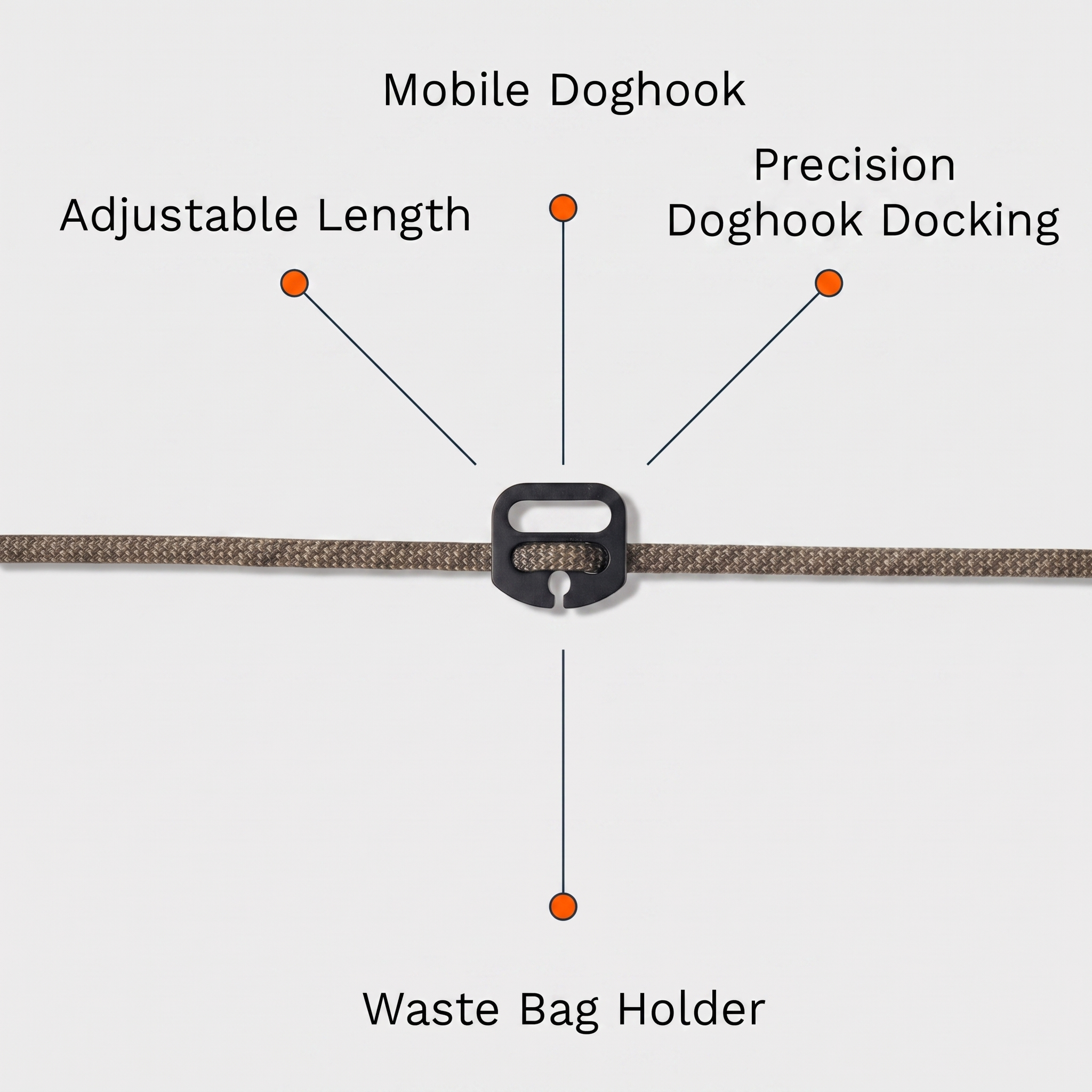 Hyena Belay Leash