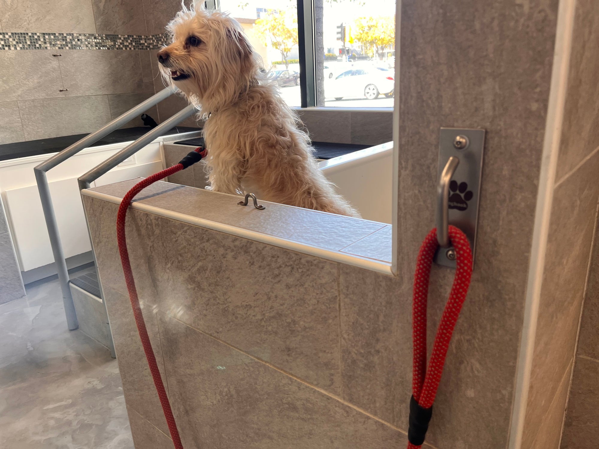 Doghook stainless leash anchor