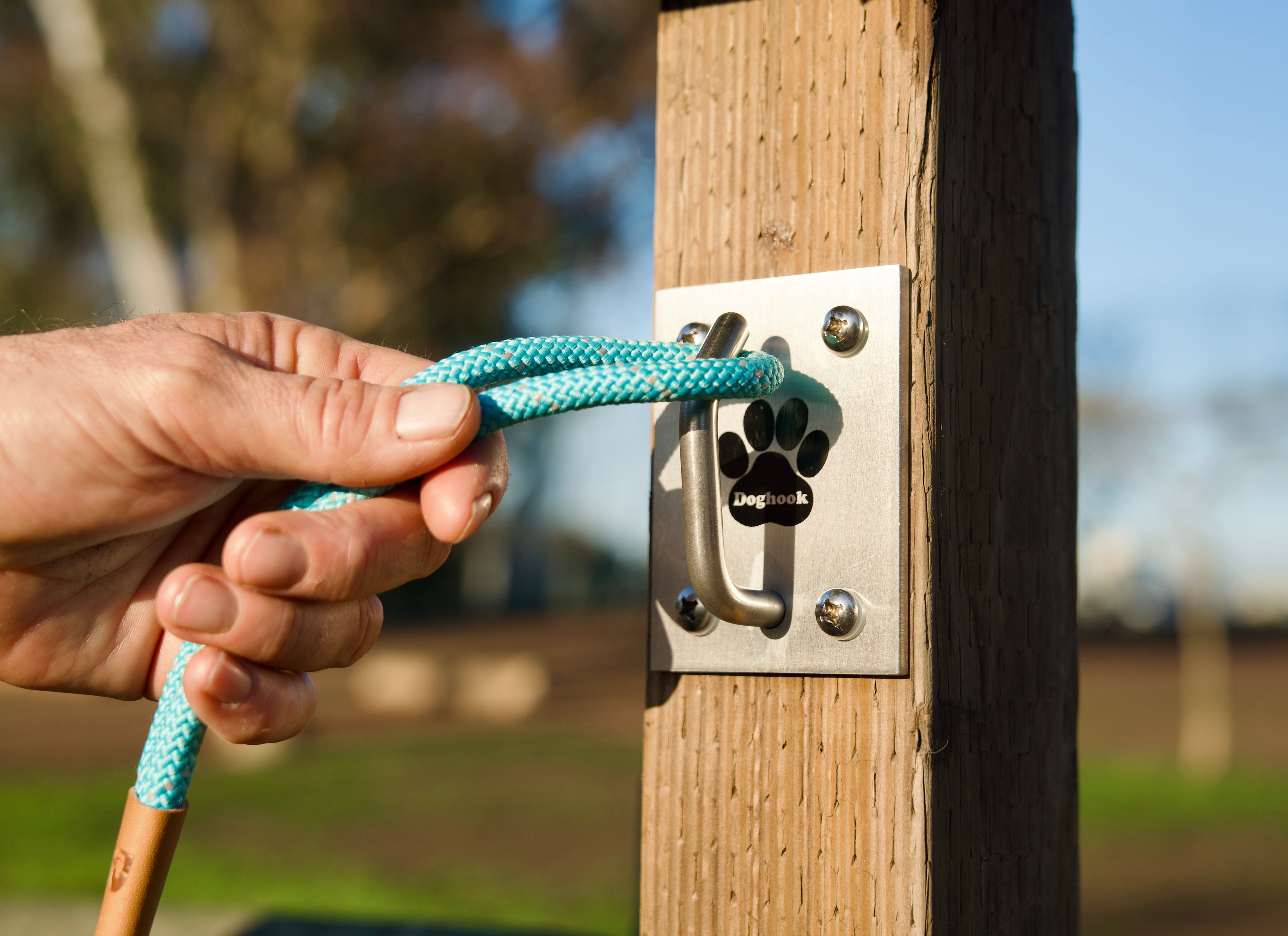 Leashing on dog hitch