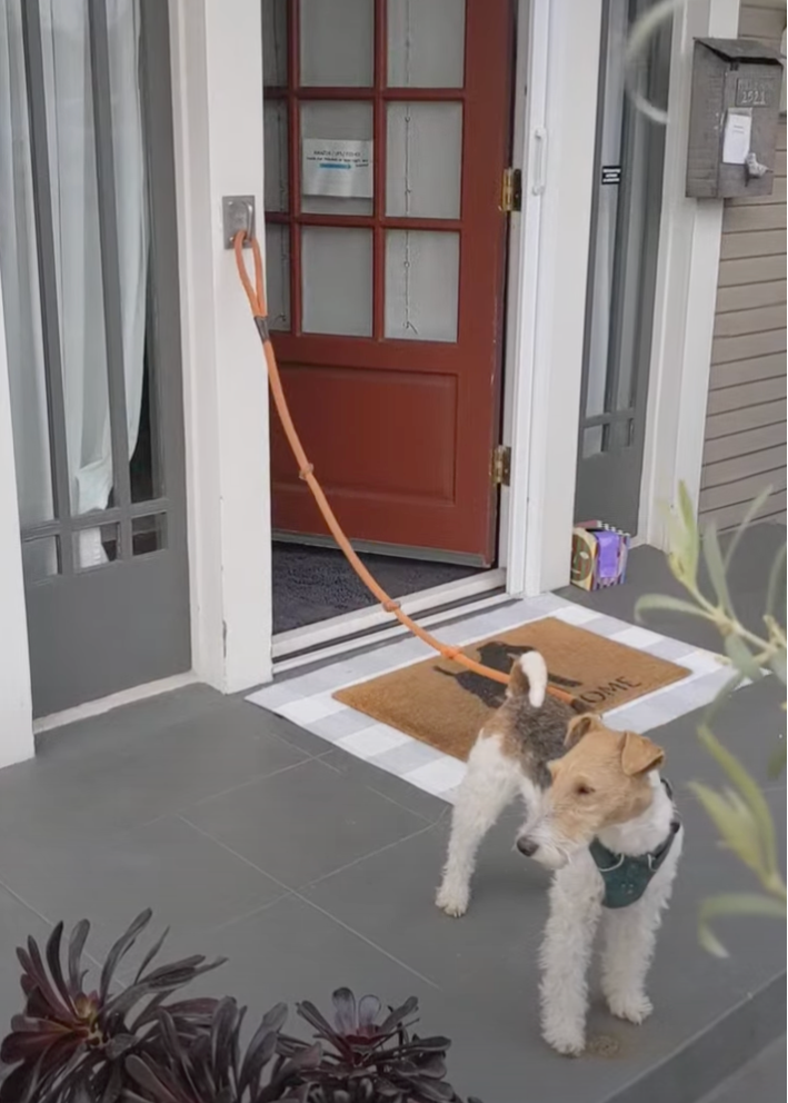 Doghook installation