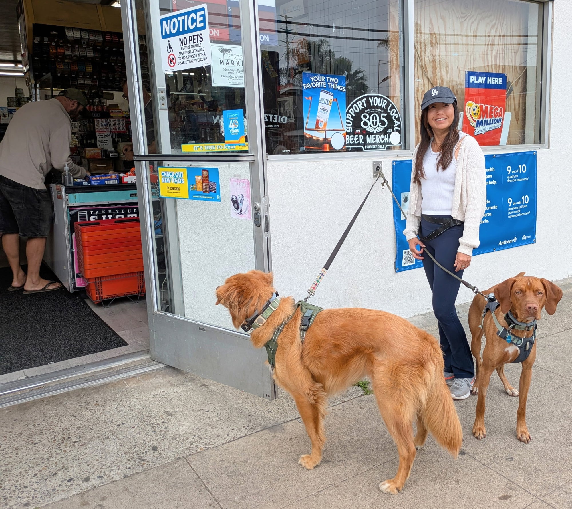 Doghook installation